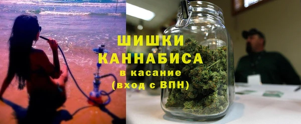шишки Коряжма