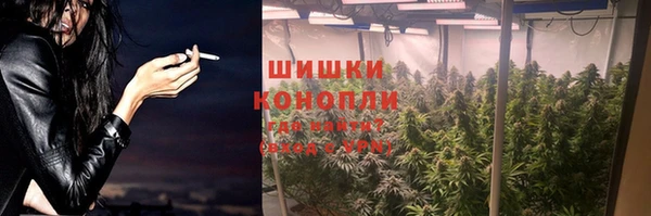 шишки Коряжма