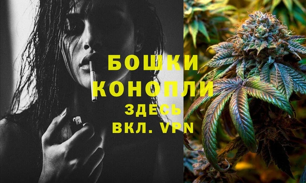 шишки Коряжма