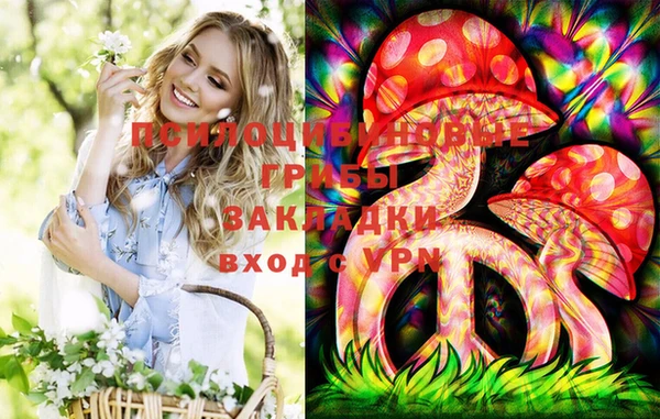 шишки Коряжма