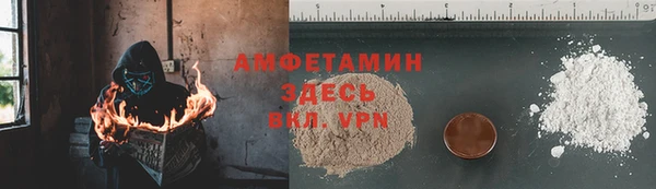 шишки Коряжма