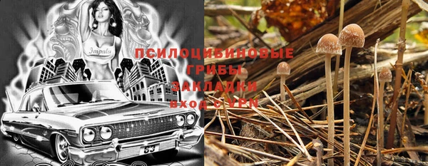 таблы Корсаков