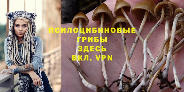 шишки Коряжма