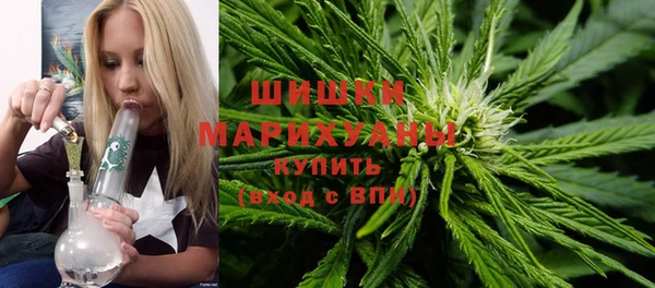 шишки Коряжма