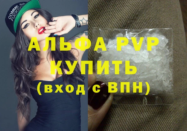 шишки Коряжма