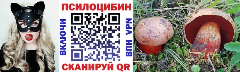 Купить где  Белово  Псилоцибиновые грибы ЛСД 